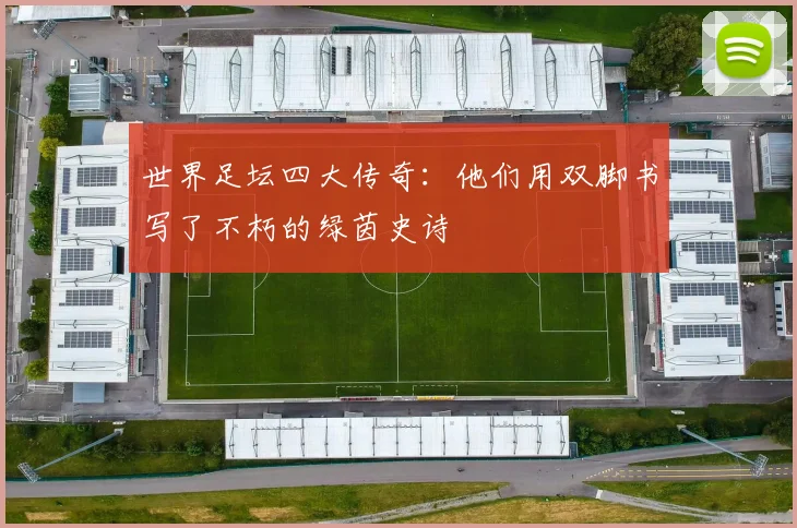 世界足坛四大传奇：他们用双脚书写了不朽的绿茵史诗